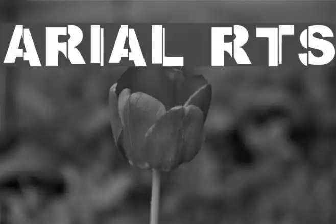ARIAL RTS Example 1