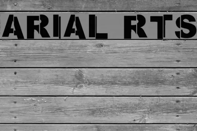 ARIAL RTS Example 3