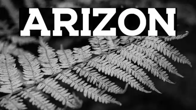 ARIZON Font examples