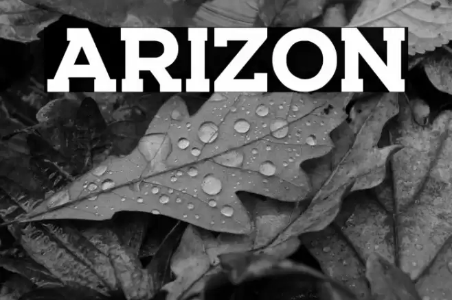 ARIZON Font examples