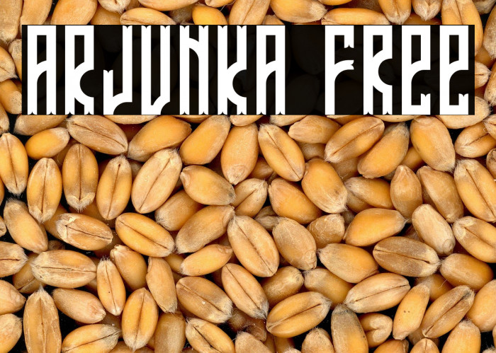 ARJUNKA Free Example 2