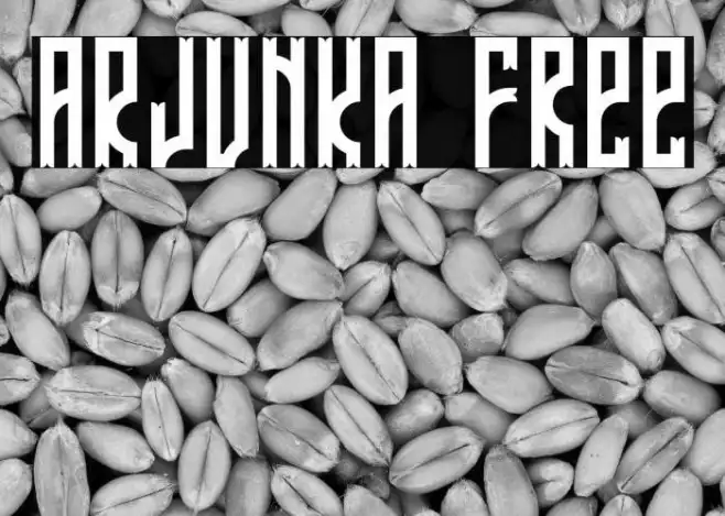 ARJUNKA Free Example 2