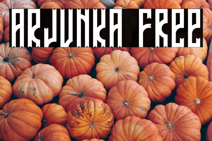 ARJUNKA Free Example 3