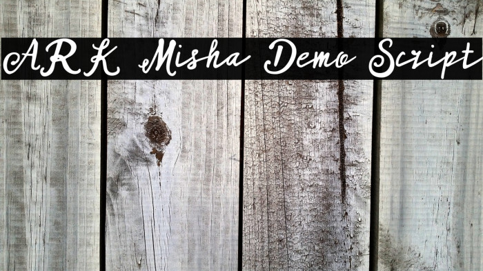 ARK Misha Demo Script Example 1