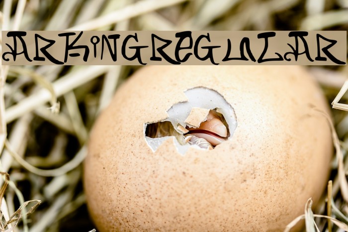 ARKING-Regular फ़ॉन्ट examples