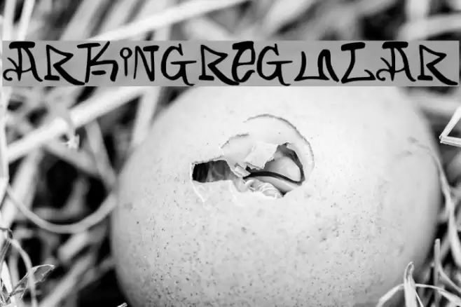 ARKING-Regular फ़ॉन्ट examples