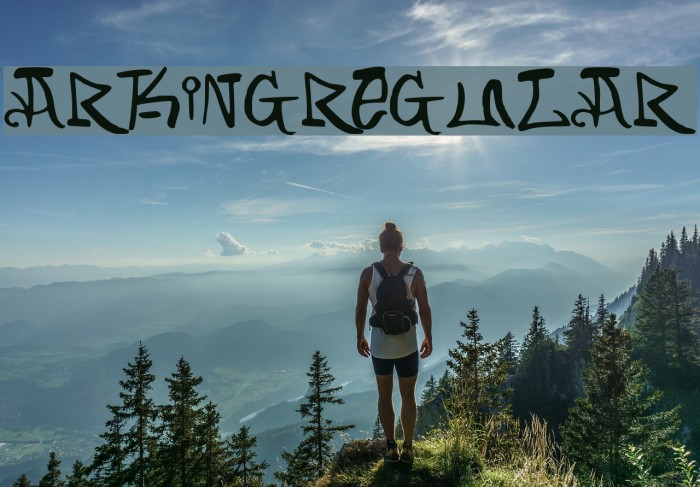ARKING-Regular फ़ॉन्ट examples