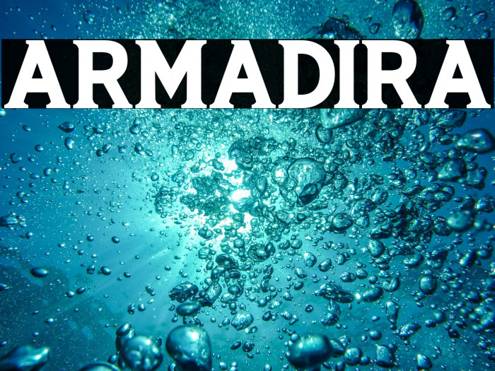 ARMADIRA Example 1