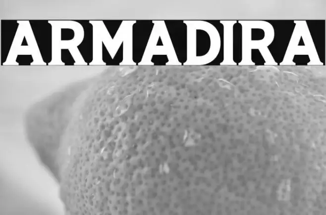 ARMADIRA Example 2