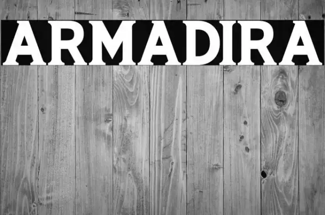ARMADIRA Example 3