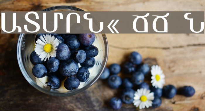 ARMEN_ TT Normal Font examples