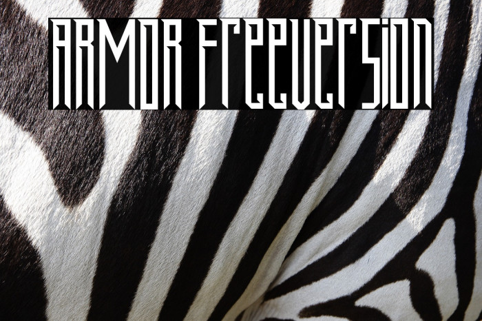 ARMOR FreeVersion Example 1