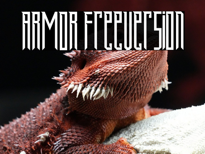 ARMOR FreeVersion Example 2