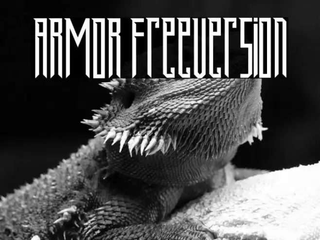ARMOR FreeVersion Example 2