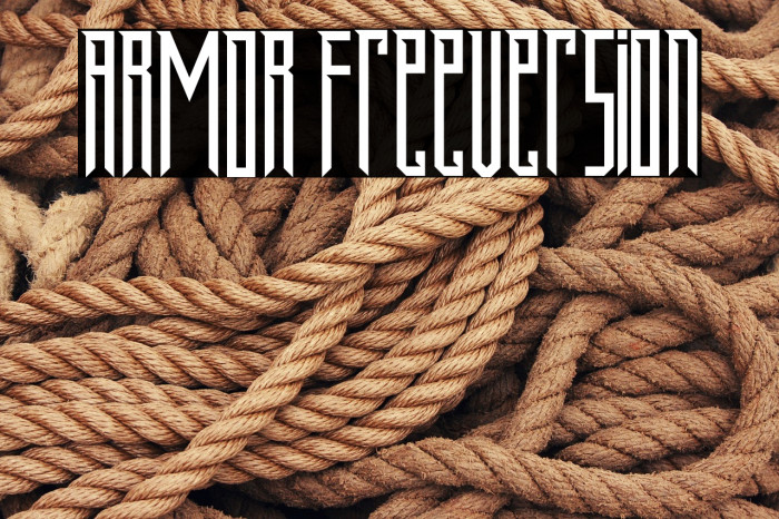 ARMOR FreeVersion Example 3