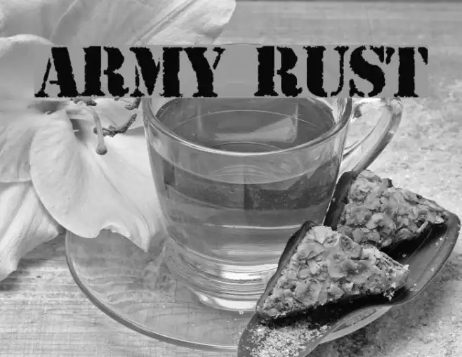 ARMY RUST Example 1