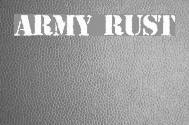 ARMY RUST Example 2