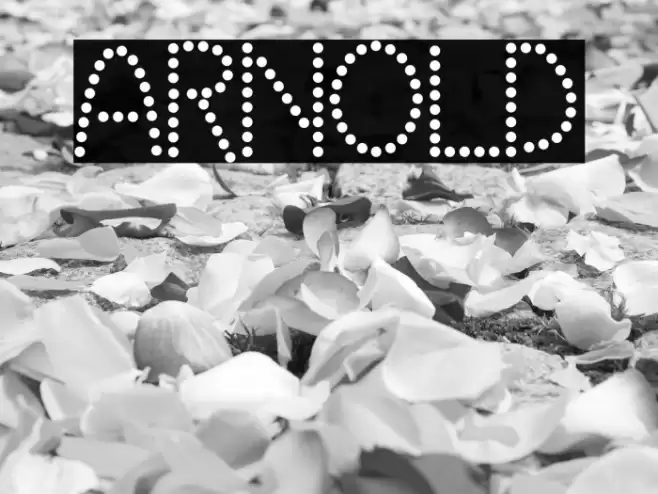 ARNOLD Font examples