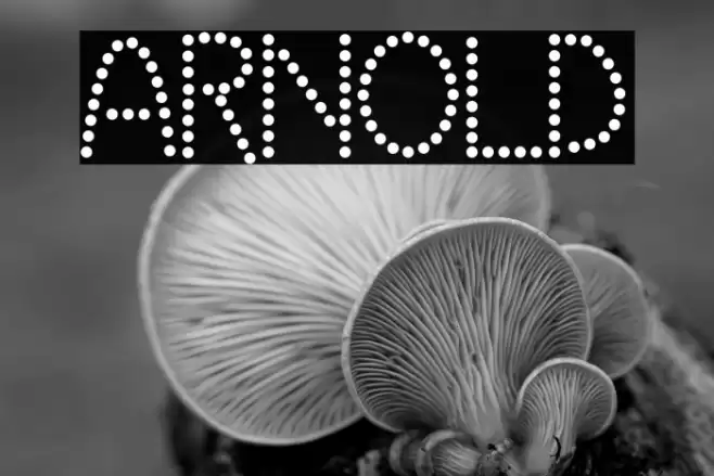 ARNOLD Font examples