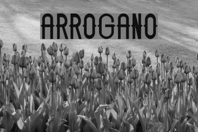 ARROGANO Example 2