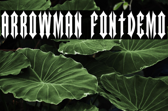 ARROWMAN FONTDEMO Example 2