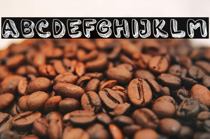 ART HISTORY BOOK Example 1