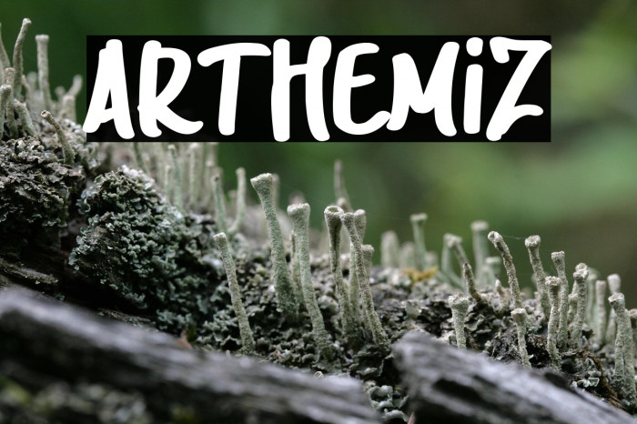 ARTHEMIZ Example 1