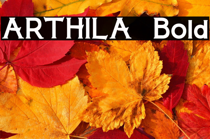 ARTHILA  Bold Example 1
