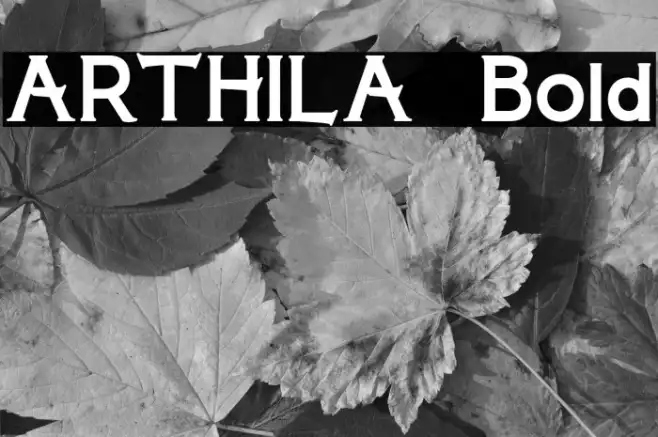 ARTHILA  Bold Example 1
