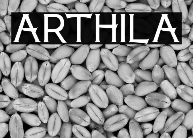 ARTHILA Example 2
