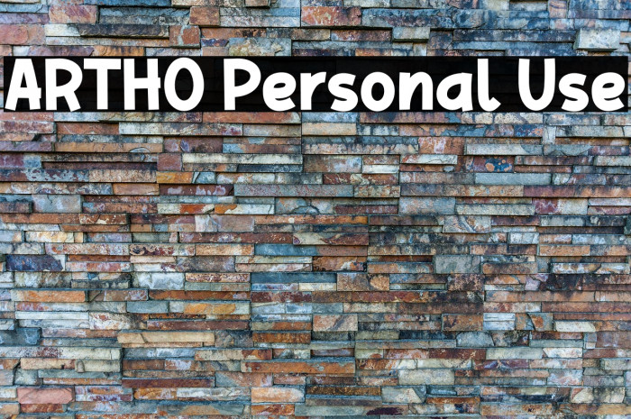 ARTHO Personal Use Example 1