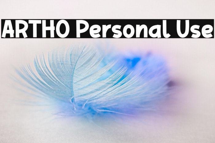 ARTHO Personal Use Example 2