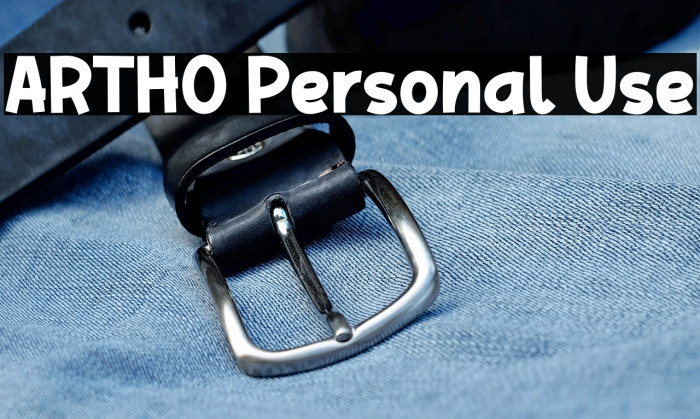 ARTHO Personal Use Example 3