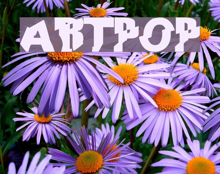 ARTPOP Font examples