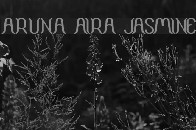 ARUNA AIRA JASMINE Schriftart examples