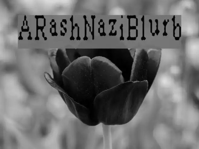 ARashNaziBlurb Example 1