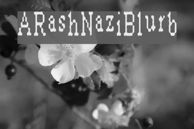 ARashNaziBlurb Example 2