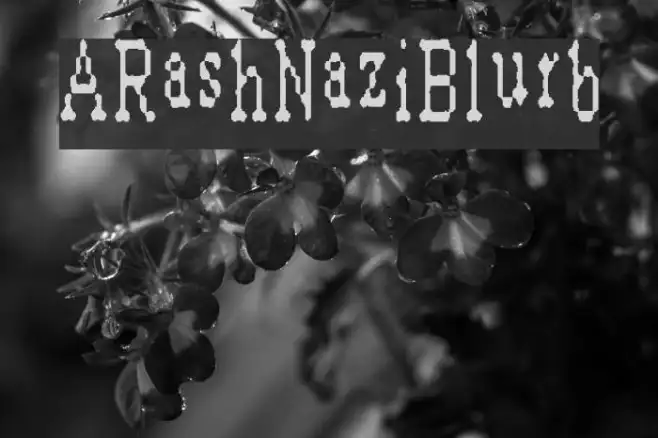ARashNaziBlurb Example 3