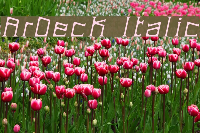 ArDeck Italic Font examples