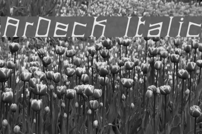 ArDeck Italic Example 3