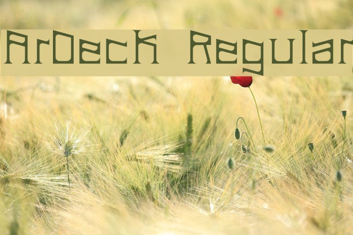 ArDeck Regular Example 2