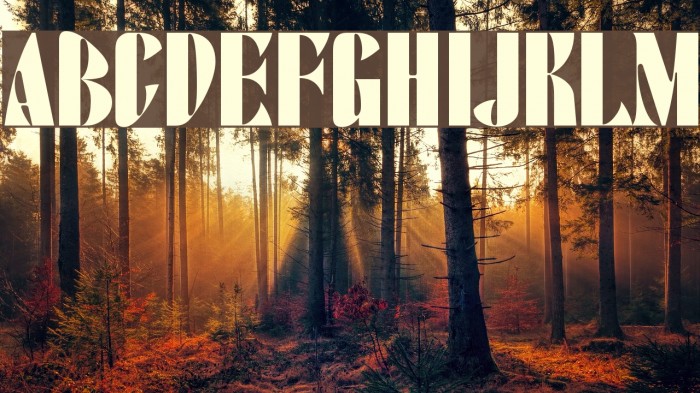 ArTarumianAfrickian Example 3