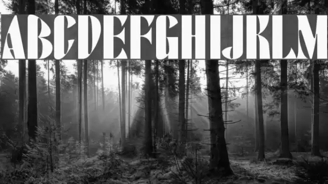 ArTarumianAfrickian Font examples