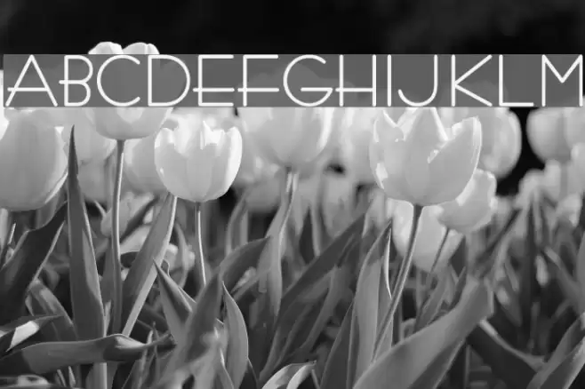 ArTarumianBarak Bold Font examples