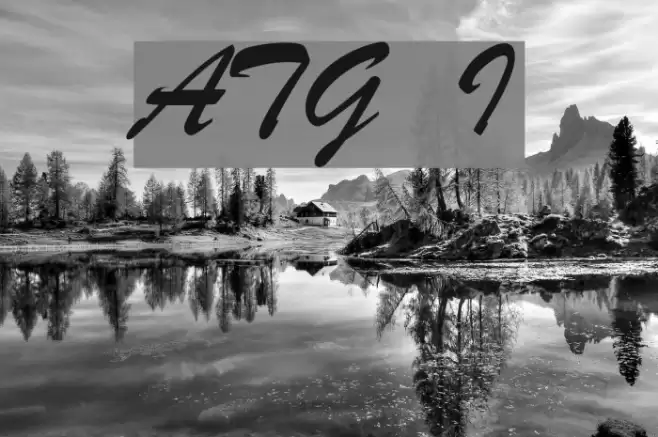 ArTarumianGovazd  Italic Font examples