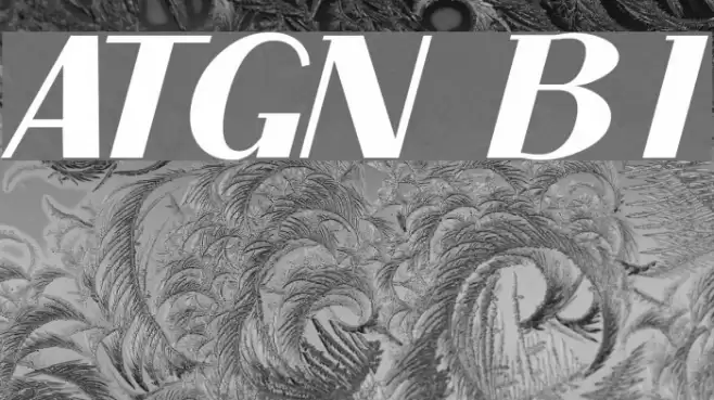 ArTarumianGrqiNor  Bold Italik Font examples