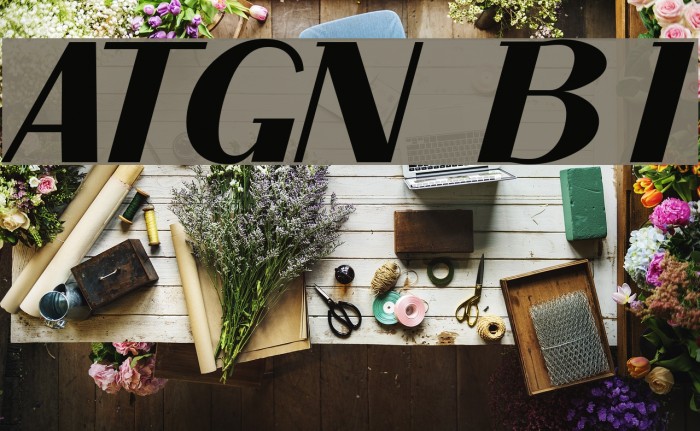 ArTarumianGrqiNor  Bold Italik Example 3