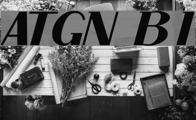 ArTarumianGrqiNor  Bold Italik Font examples