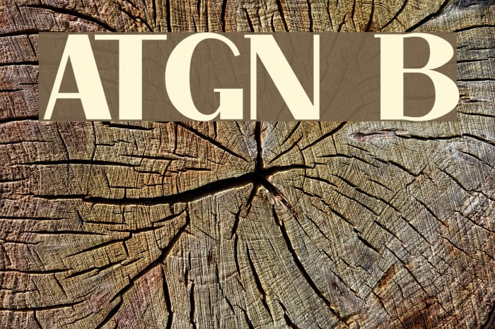 ArTarumianGrqiNor Bold Font examples