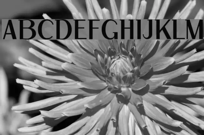 ArTarumianGrqiNor Font examples